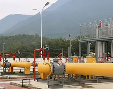 Industrial valves for natural gas