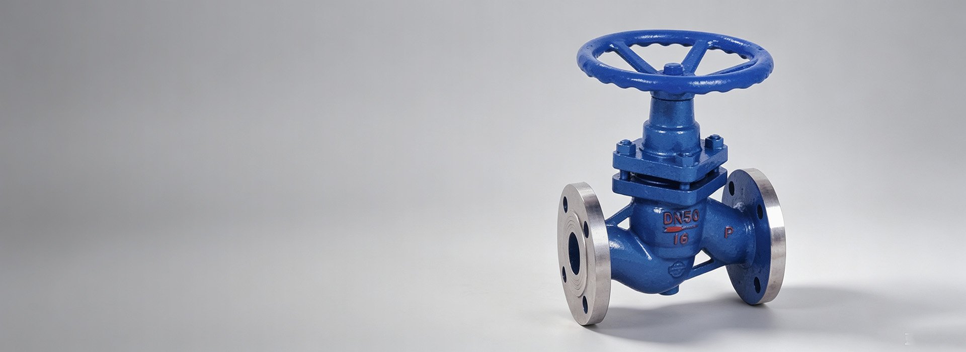 Plunger Valve