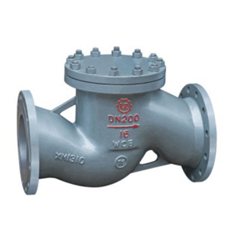 Liet Check Valve