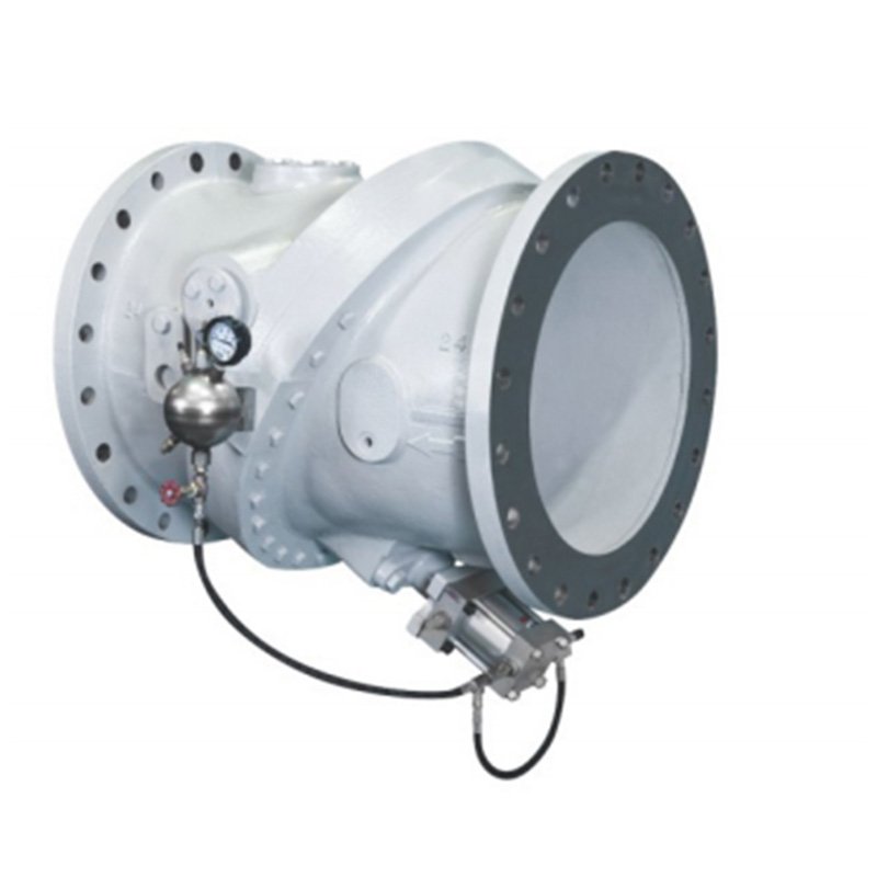 Slant Plate Type Check Valve