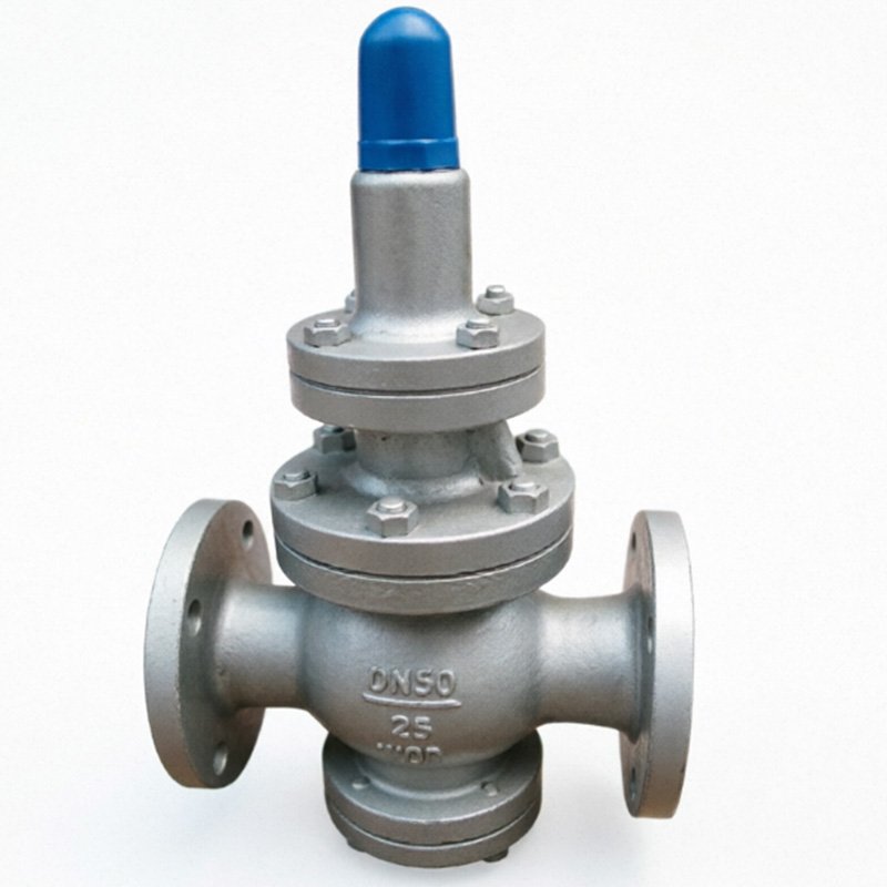 steam pressure reducing valve